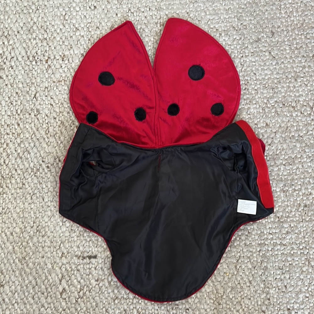 Dog Costume Lady Bug with Hat  Size S